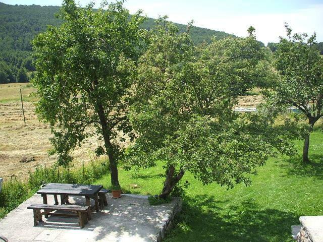 Apartment Ema Stolac Kültér fotó